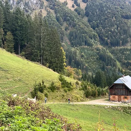 Hobisch Alm - Heroum Hut Bed & Breakfast Kleinreifling