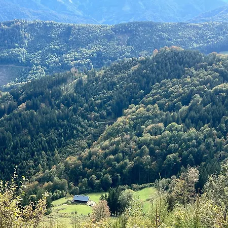 Bed & Breakfast Hobisch Alm - Heroum Hut Kleinreifling