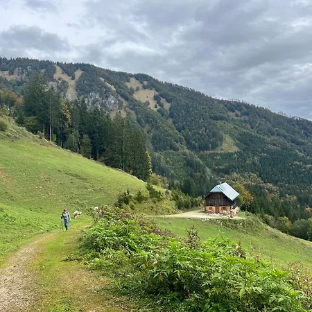 Hobisch Alm - Heroum Hut Bed & Breakfast