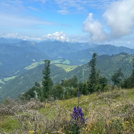 Hobisch Alm - Heroum Hut *