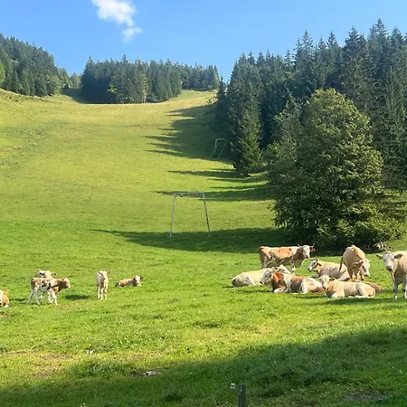 Bed & Breakfast Hobisch Alm - Heroum Hut Kleinreifling